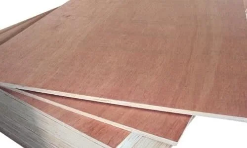 Commercial Plywood in Maharashtra